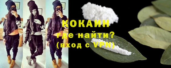 PSILOCYBIN Богданович