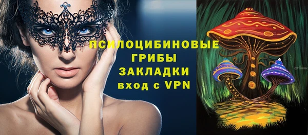 PSILOCYBIN Богданович