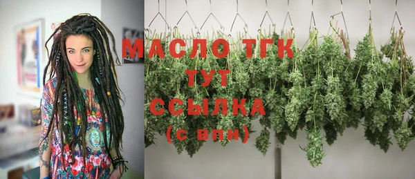 прущие грибы Балабаново