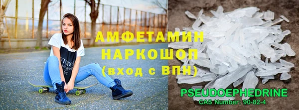 прущие грибы Балабаново
