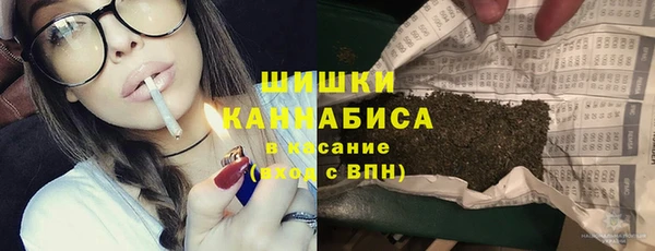 стаф Богородск