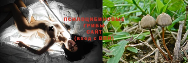 прущие грибы Балабаново
