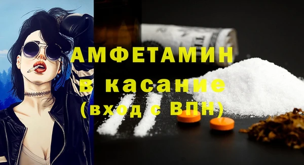 PSILOCYBIN Богданович