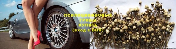 МДМА Богородицк