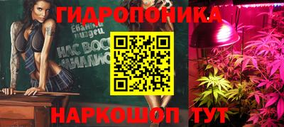 PSILOCYBIN Малгобек