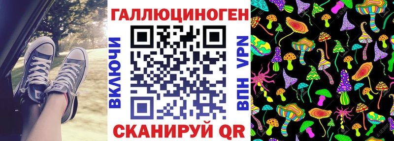 Псилоцибиновые грибы Cubensis  Губкинский 