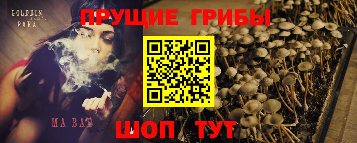 Псилоцибиновые грибы Magic Shrooms  Вход с VPN  Галлюциногенные грибы Psilocybine cubensis  Губкинский 
