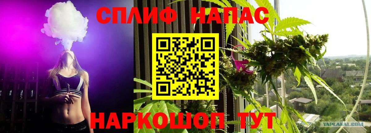 Каннабис SATIVA & INDICA Губкинский